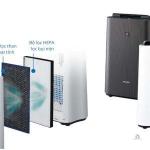 Đánh Bại Mùa Nồm Miền Bắc: Bí Kíp Chọn Máy Hút Ẩm Chuẩn Xác Nhất Cho Gia Đình Bạn