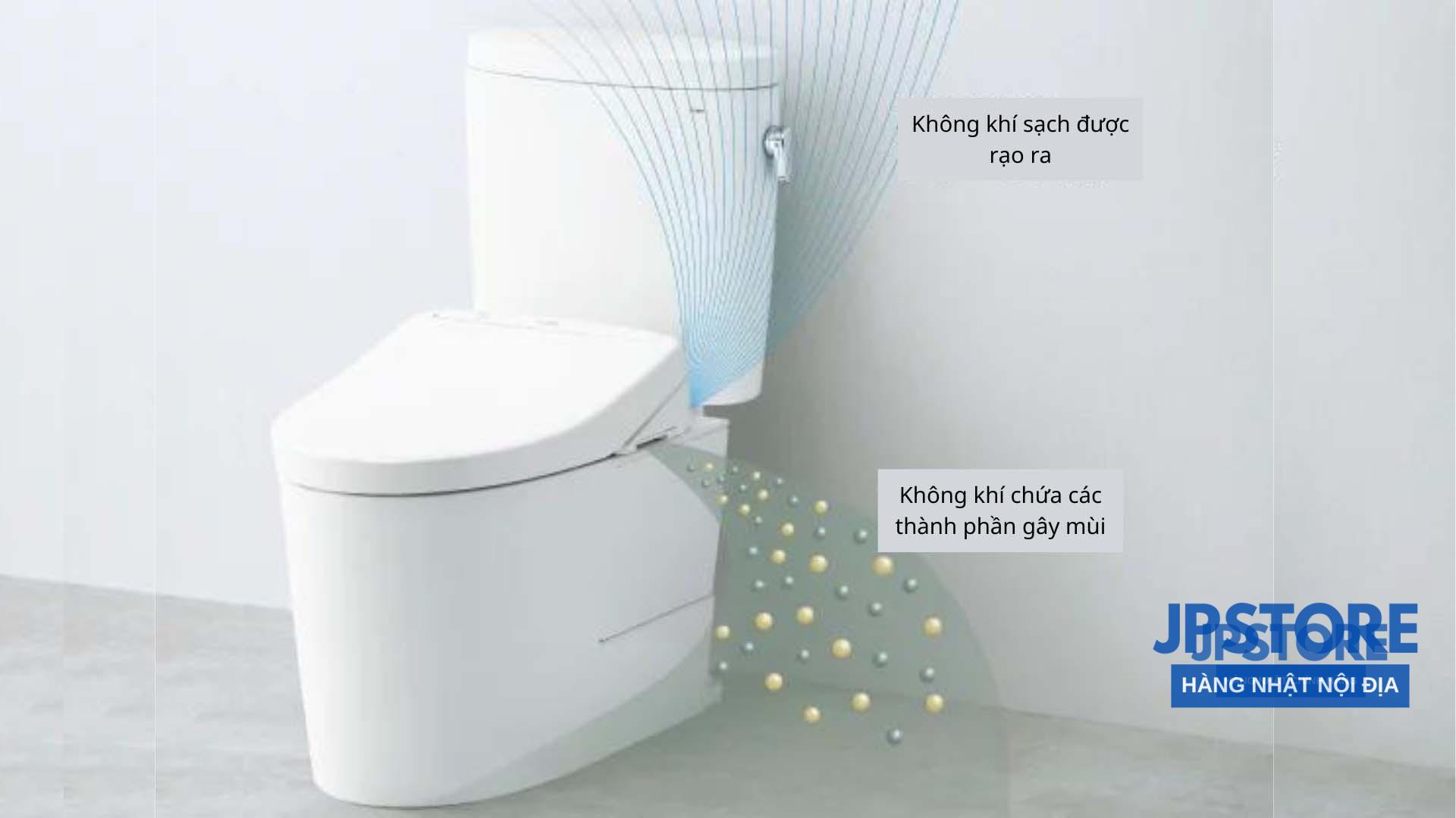 Nắp bệt TOTO TCF8CS67